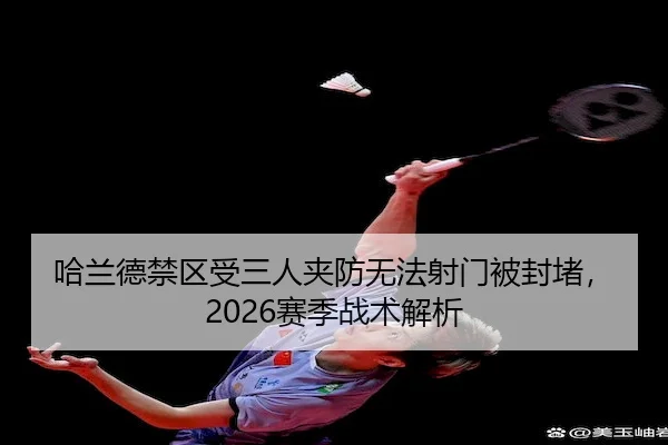 ha-lan-de-jin-qu-shou-san-ren-jia-fang-wu-fa-she-men-bei-feng-du-sai-ji-zhan-shu-jie-xi-2-392.jpg